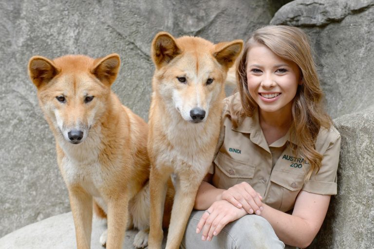 vip tour australia zoo