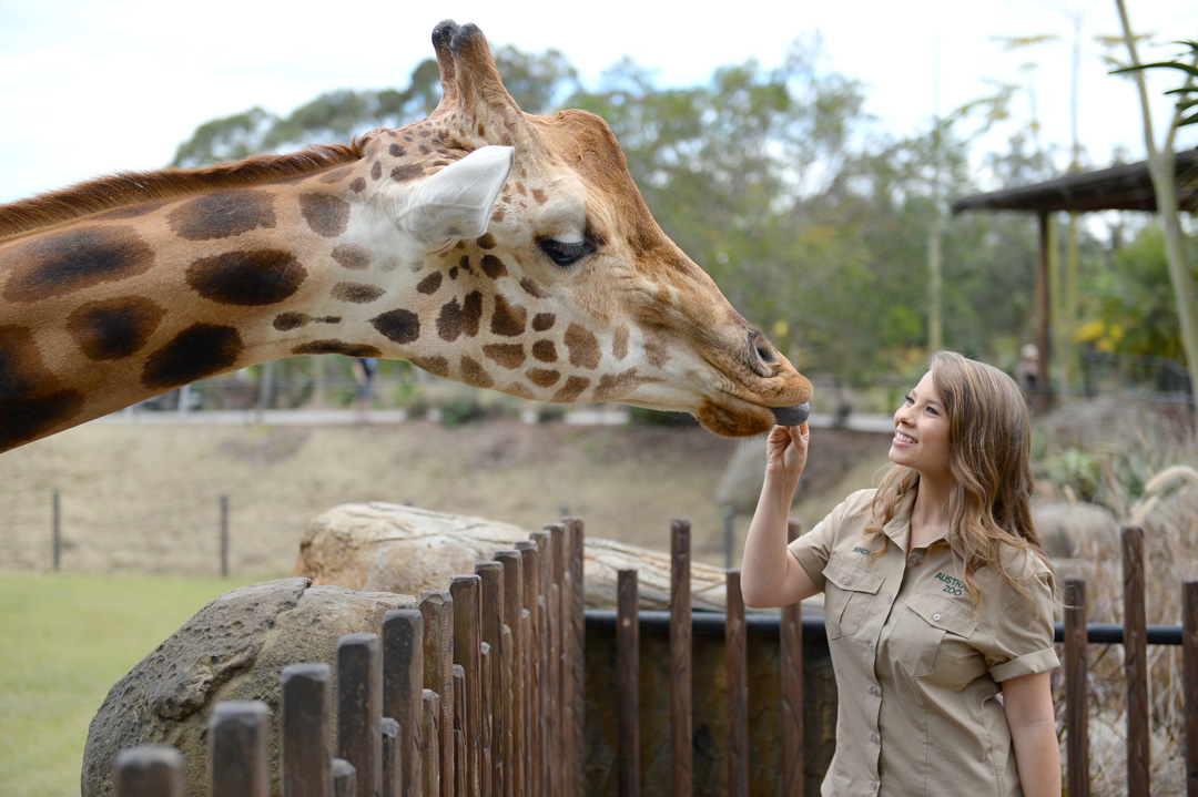 Book Your Australia Zoo Ultimate Tour Adventure