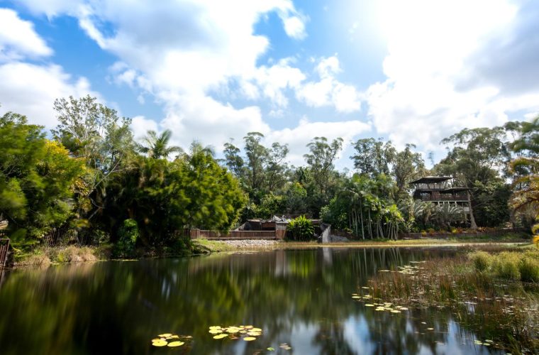 BindisIsland-20-KB-3133