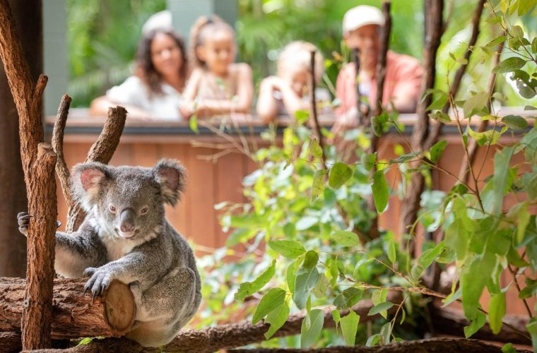 KB23-AZ-ZooContentShootModelFamily-1650